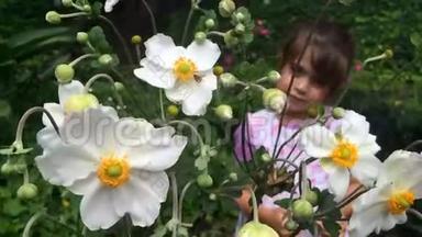 小女孩看着花园里盛开的花朵上的蝴蝶